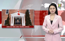 Sóng gió trên chính trường Canada | Nhìn ra thế giới | 07/01/2025