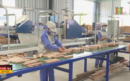 Xuất khẩu gỗ vượt kỷ lục
