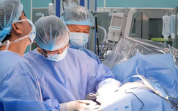 Kỷ lục số ca hiến tạng sau chết não tại Việt Nam