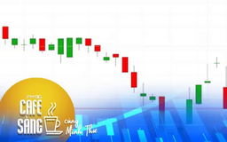 Diễn biến cổ phiếu YEG của Yeah1 phong độ không ổn định