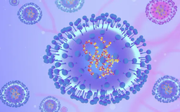 Không quá lo ngại virus HMPV tại Trung Quốc