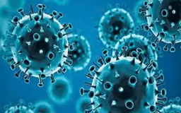 Không nên quá lo ngại virus HMPV tại Trung Quốc