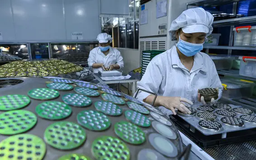 Chính phủ đặt mục tiêu GDP năm 2025 tăng 8 - 10%