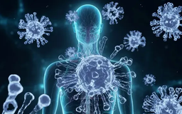 Virus HMPV có thực sự đáng sợ như Covid-19?