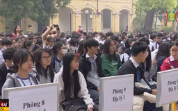 Hơn 4.000 em thi học sinh giỏi thành phố Hà Nội