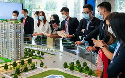 Doanh nghiệp bất động sản quay lại thị trường tăng hơn 40%