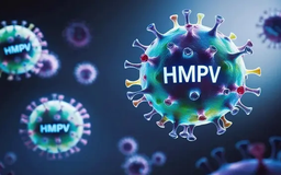 Bộ Y tế: Chưa có tuyên bố khẩn cấp về virus HMPV