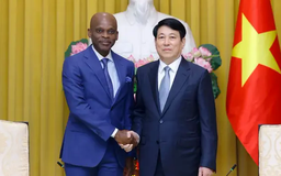 Chủ tịch nước Lương Cường tiếp Bộ trưởng Ngoại giao Togo