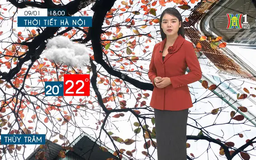 Dự báo thời tiết tối | 09/01/2025