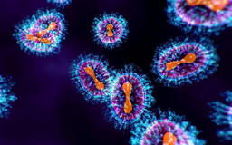 Virus HMPV từng được phát hiện tại TP.HCM