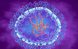 Những quốc gia có số ca nhiễm virus HMPV gia tăng