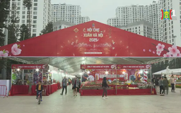 Hơn 100 gian hàng tham dự Hội chợ Xuân Hà Nội 2025