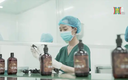Khoa học công nghệ giúp phát triển nền y học cổ truyền