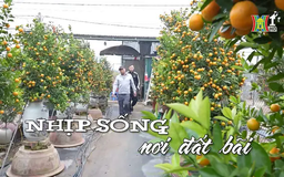 Nhịp sống nơi đất bãi | Nhịp sống Hà Nội | 10/01/2025
