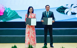 T&T Group đầu tư dự án điện gió tại Lào
