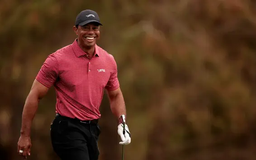 Tiger Woods, tay golf ảnh hưởng lớn nhất tới PGA Tour 2024