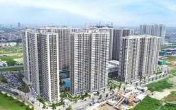 Xu hướng trái chiều tại hai thị trường nhà ở trọng điểm