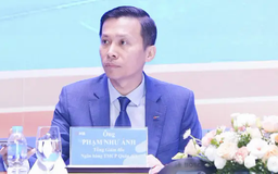 Novaland, Trung Nam vẫn đang trả nợ bình thường