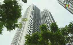 Năm 2025, giá chung cư sẽ chững lại và giảm