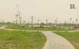 Thanh khoản đất nền giảm sâu năm 2024