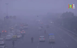 Sương mù dày đặc cản trở giao thông tại Ấn Độ