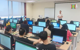 Chương trình đào tạo đại học đạt tiêu chuẩn chiếm 37%