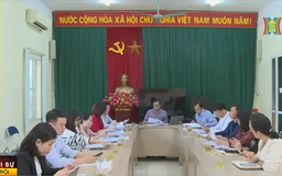 Hội đồng Nhân dân quận, phường có thể không còn