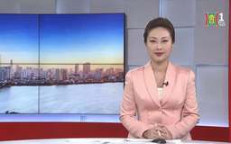 Chương trình Thời sự 11h30 | 14/01/2025