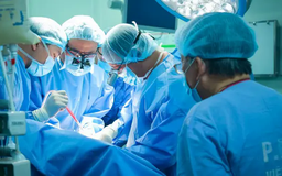 Bốn bệnh nhân chết não hiến tạng, hồi sinh 15 người