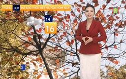 Dự báo thời tiết trưa | 14/01/2025