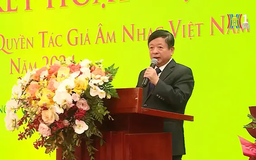 Năm 2024: Thu hơn 393 tỷ đồng tiền tác quyền âm nhạc