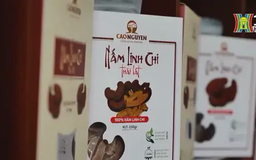 Ngành thực phẩm dẫn đầu kiến nghị giảm lãi suất vay