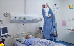 Những cuộc đời được hồi sinh nhờ ghép tế bào gốc