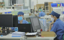 TP. HCM dẫn đầu về doanh nghiệp thành lập mới trong năm 2024