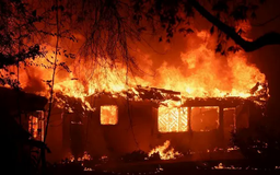 California, Mỹ cảnh báo lợi dụng cháy rừng để lừa đảo