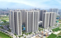Thị trường chung cư Hà Nội và TP.HCM diễn biến trái chiều