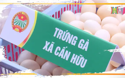 Nông dân tất bật phục vụ thị trường Tết | Nông nghiệp Nông thôn | 16/01/2025