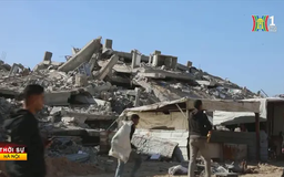 Thương vong tăng cao trước thềm thỏa thuận ngừng bắn Gaza