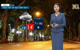 Dự báo thời tiết tối | 18/01/2025