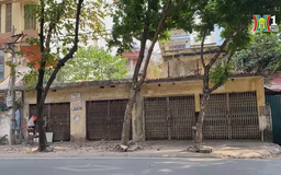 Đất công bỏ hoang 12 tháng sẽ bị thu hồi