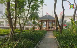 Quỹ đất công bỏ hoang dần trở thành không gian xanh