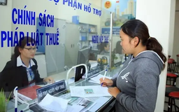 Chống thất thu thuế ở các lĩnh vực rủi ro cao