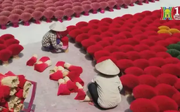 Làng hương Quảng Phú Cầu rực rỡ ngày cận Tết