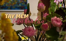 Tay mềm trên hoa lụa | Nghệ nhân Hà Nội | 18/01/2025