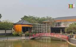 Homestay không còn sức hút nhà đầu tư