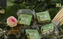 Hương vị bánh chưng Thành Trung | Mỗi xã một sản phẩm | 20/01/2025