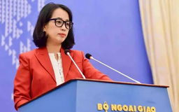 Việt Nam hoan nghênh phán quyết bồi thường nạn nhân thảm sát