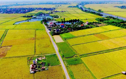 Đất 50 năm chuyển sang đất thổ cư như thế nào?
