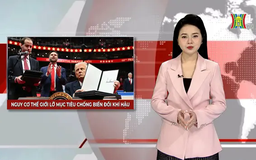 Nguy cơ thế giới lỡ mục tiêu chống biến đổi khí hậu | Nhìn ra thế giới | 22/01/2025