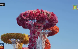Rực rỡ triển lãm hoa Muscat